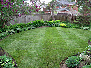 Manicured lawn and garden