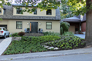 Groundcover Front Yard