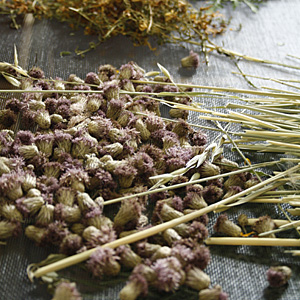 Dried flowers