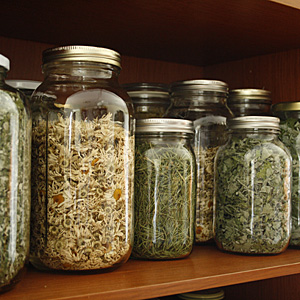 Jars of dried herbs